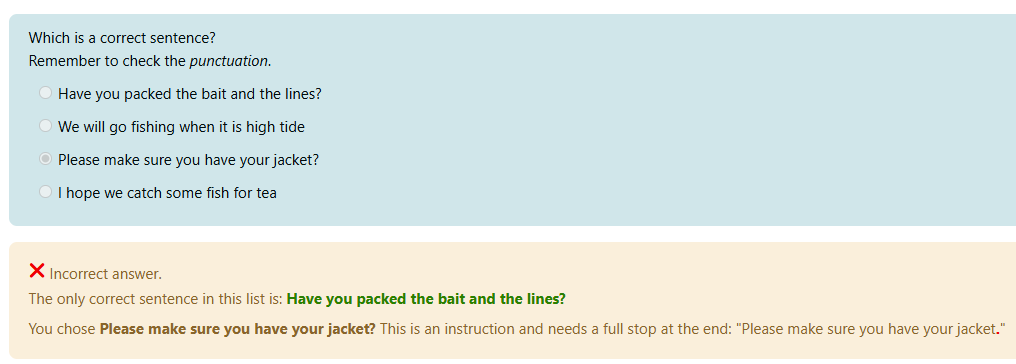Screen shot of assessing punctuation.
